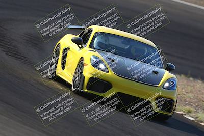 media/Oct-14-2023-West Coast Racing (Sat) [[6853f17b7b]]/Blue Group/Session 1 (Turn 3)/